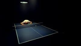 Ping Pong for Singles - image 1