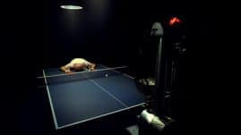 Ping Pong for Singles - image 6