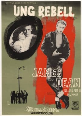 Rebel Without a Cause - image 2