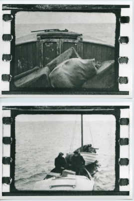 Havsgamar : Drama från de yttersta skären i 3 akter - image 35