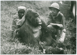 Med Prins Wilhelm på afrikanska jaktstigar - image 8