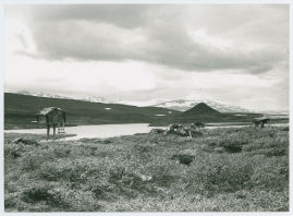I fjällfolkets land : Dagar i Lappland hos Inka Länta och hennes fränder - image 6