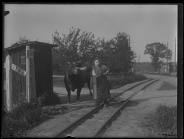 Ebberöds bank - image 103