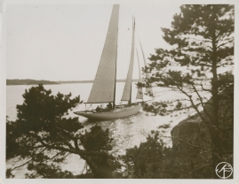 Drottningen av Pellagonien - image 73