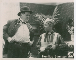 Hemliga Svensson - image 62