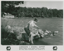 Larsson i andra giftet - image 25