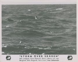 Storm över skären - image 60