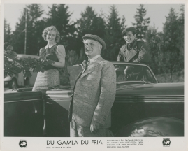 Du gamla du fria - image 41