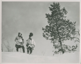 Son of the Midnight Sun - image 14