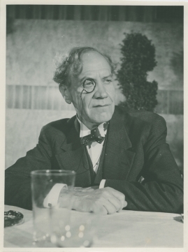 Doktor Glas - image 40