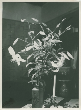 Doktor Glas - image 174