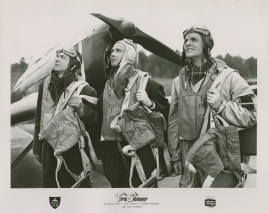 Tre söner gick till flyget : En film om familjen Hallman och deras tre söner vid flyget - image 34