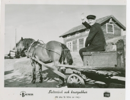 Saltstänk och krutgubbar : Liv och leverne i skärgården enligt Albert Engström - image 14