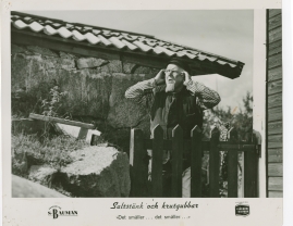 Saltstänk och krutgubbar : Liv och leverne i skärgården enligt Albert Engström - image 16