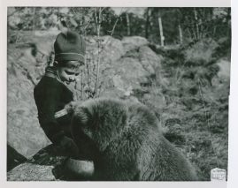  Jovva björnunge - image 5