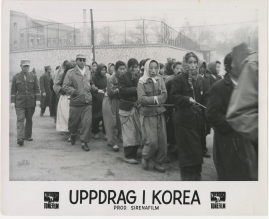 Uppdrag i Korea - image 5