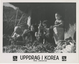 Uppdrag i Korea - image 11