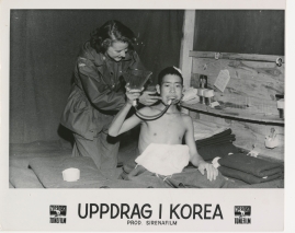 Uppdrag i Korea - image 12