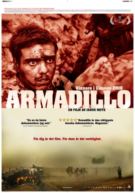 Armadillo - image 1