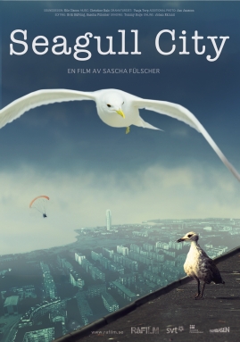 Seagull City - image 1