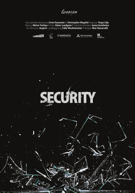 Security - image 1