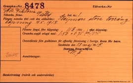 Sleipners stora terränglöpning 4.5.1913 - image 1