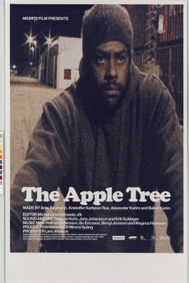 The Apple Tree - image 1