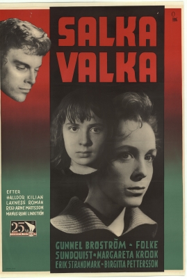Salka Valka - image 2