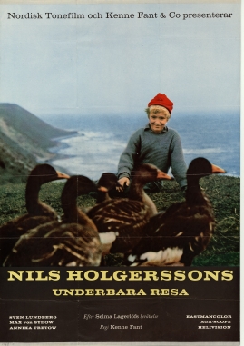 Nils Holgerssons underbara resa - image 3