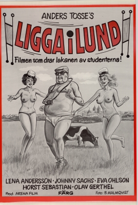 Ligga i Lund - image 1