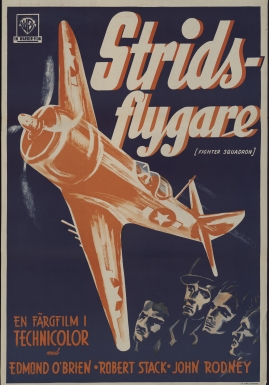 Fighter Squadron - image 1