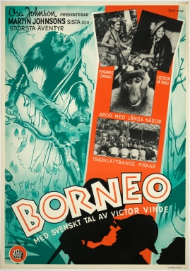 Borneo - image 1