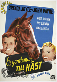 En gentleman till häst - image 1